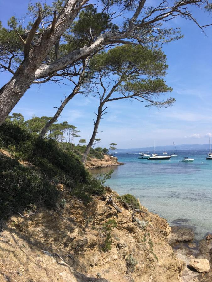 Large Private Garden, Quiet 2-Bedroom Apartment, Air Conditioning, Wifi, Parking Cassis Exterior photo