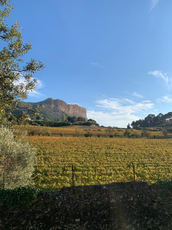 Large Private Garden, Quiet 2-Bedroom Apartment, Air Conditioning, Wifi, Parking Cassis Exterior photo
