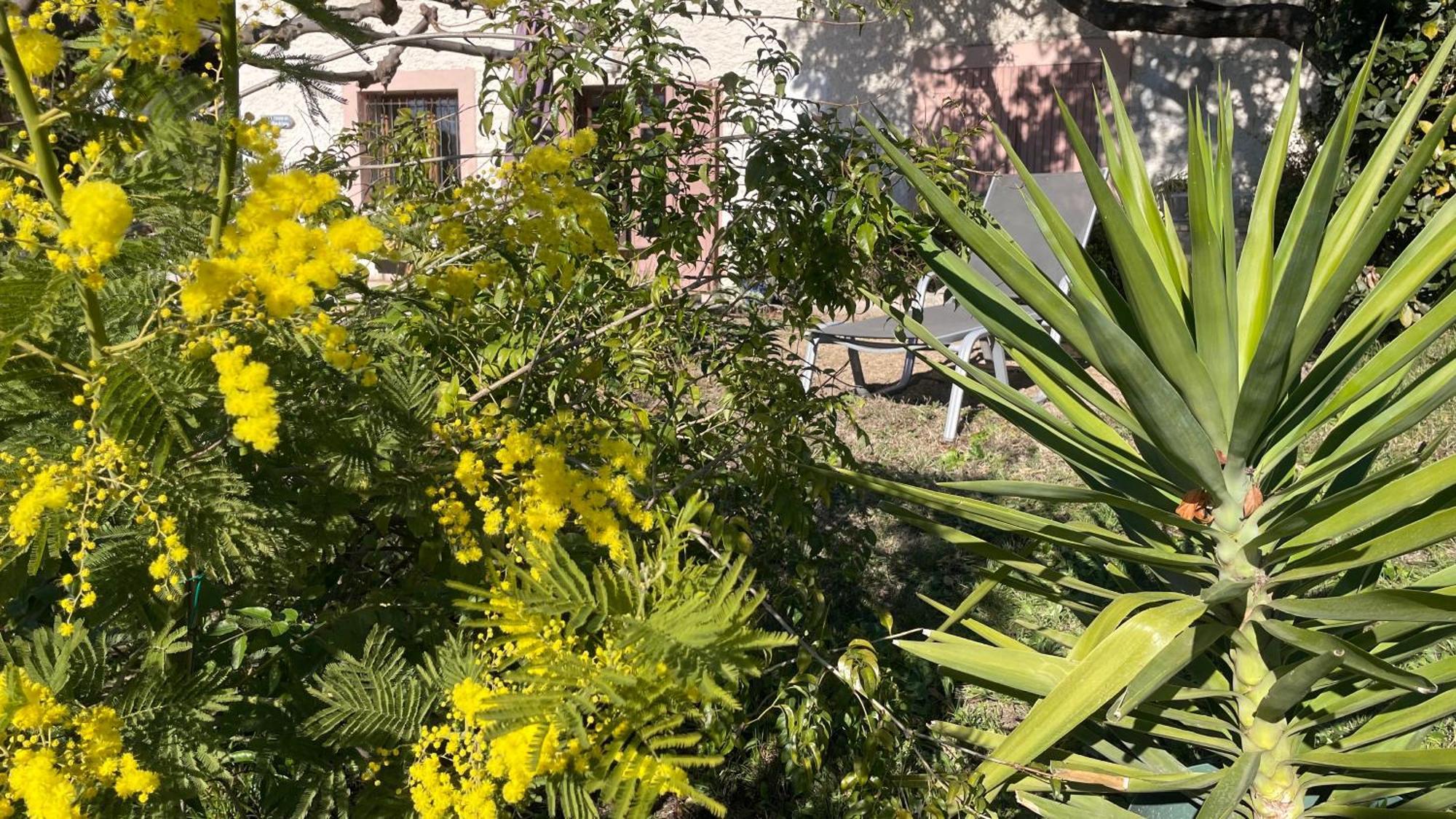 Large Private Garden, Quiet 2-Bedroom Apartment, Air Conditioning, Wifi, Parking Cassis Exterior photo
